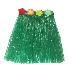 Foto van Hawaii thema verkleed rokje - raffia - groen - 40 cm - volwassenen - carnavalskostuums