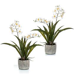 Foto van Set van 2x stuks witte orchidee orchidaceae kunstplanten in keramische pot 45 cm - kunstplanten