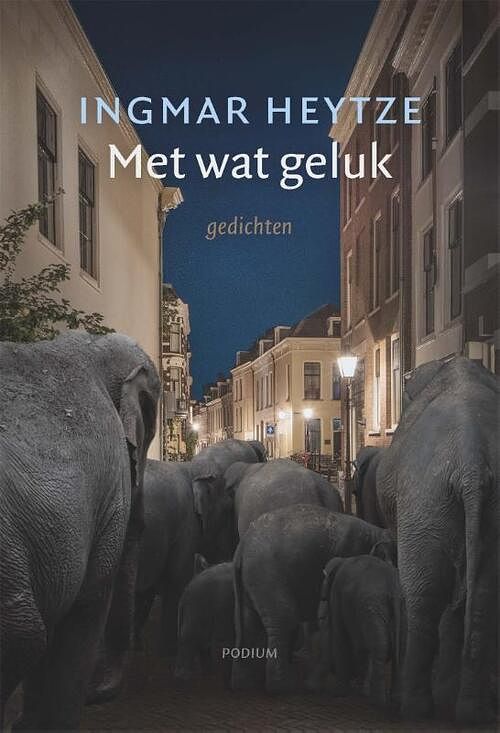 Foto van Met wat geluk - ingmar heytze - paperback (9789463811576)