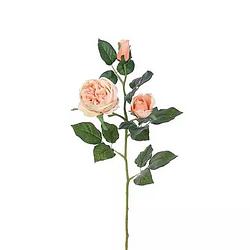 Foto van Buitengewoon de boet - engelse roos tak zalm roze 64 cm kunstplant