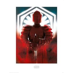 Foto van Pyramid star wars the last jedi elite guard defend kunstdruk 60x80cm