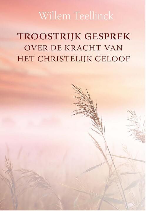 Foto van Troostrijk gesprek over de kracht van het christelijk geloof tot inrichting van een christelijk leven - willem teellinck - ebook (9789462783614)