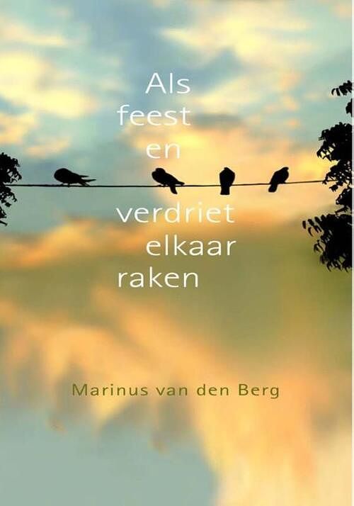 Foto van Als feest en verdriet elkaar kruisen - marinus van den berg - ebook (9789025971359)