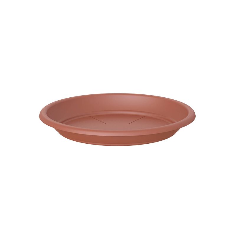 Foto van Schotel rond 26cm terracotta