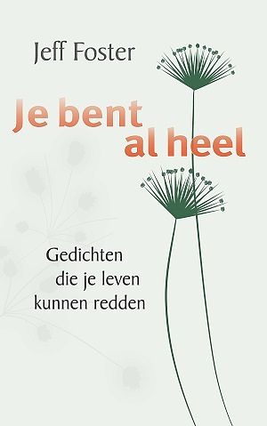 Foto van Je bent al heel - jeff foster - hardcover (9789088402241)