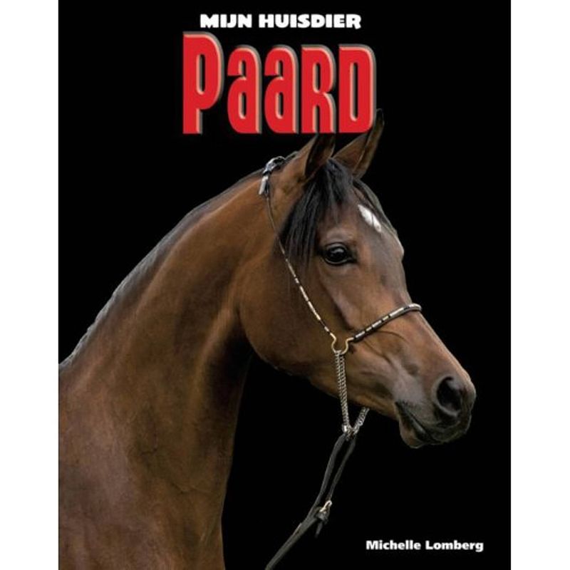 Foto van Paard - mijn huisdier