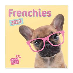 Foto van Franse bulldog kalender 2023 myrna