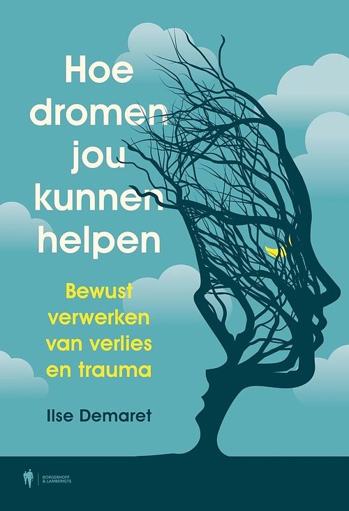 Foto van Hoe dromen jou kunnen helpen - ilse demaret - ebook