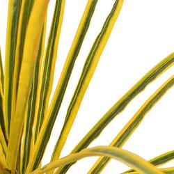 Foto van The living store dracena kunstplant - 125 cm - realistische details - groen en geel