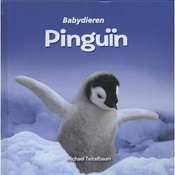 Foto van Pinguïn - babydieren