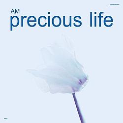 Foto van Precious life - lp (0881034154071)