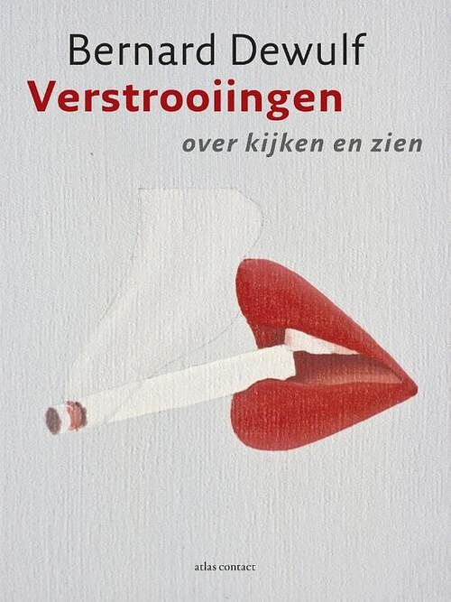 Foto van Verstrooiingen - bernard dewulf - ebook (9789045022994)