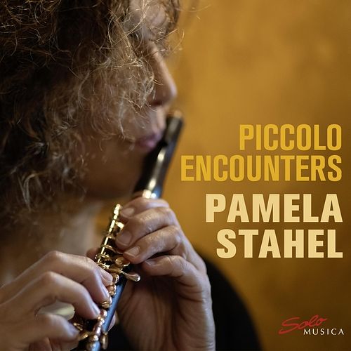 Foto van Piccolo encounters - cd (4260123643294)