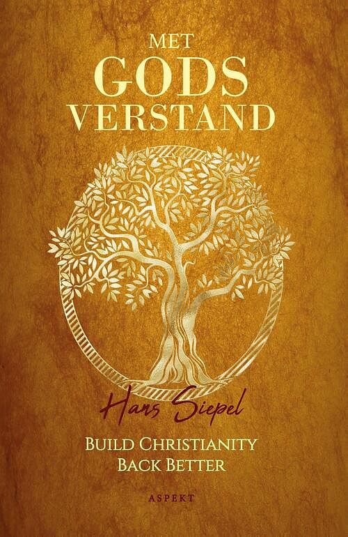 Foto van Met godsverstand - hans siepel - ebook (9789464620580)