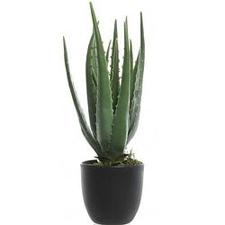 Foto van Groene aloe vera kunstplant 35 cm in zwarte pot - kunstplanten