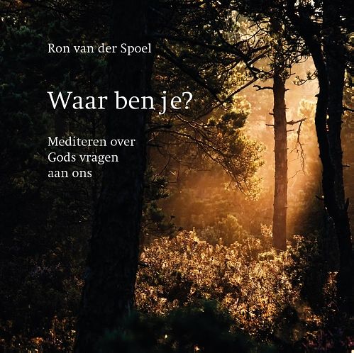 Foto van Waar ben je? - ron van der spoel - ebook