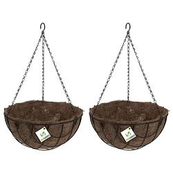 Foto van 2x stuks metalen hanging baskets / plantenbakken zwart met ketting 30 cm - hangende bloemen - plantenbakken