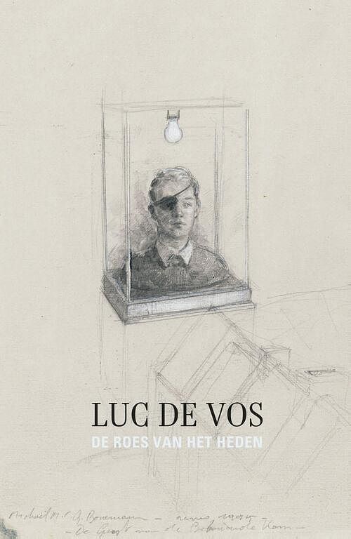 Foto van De roes van het heden - luc de vos - ebook (9789025446055)