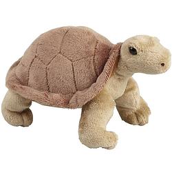 Foto van Pluche knuffel dieren land schildpad van 18 cm - knuffeldier