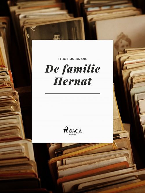 Foto van De familie hernat - felix timmermans - ebook