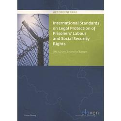 Foto van International standards on legal protection of