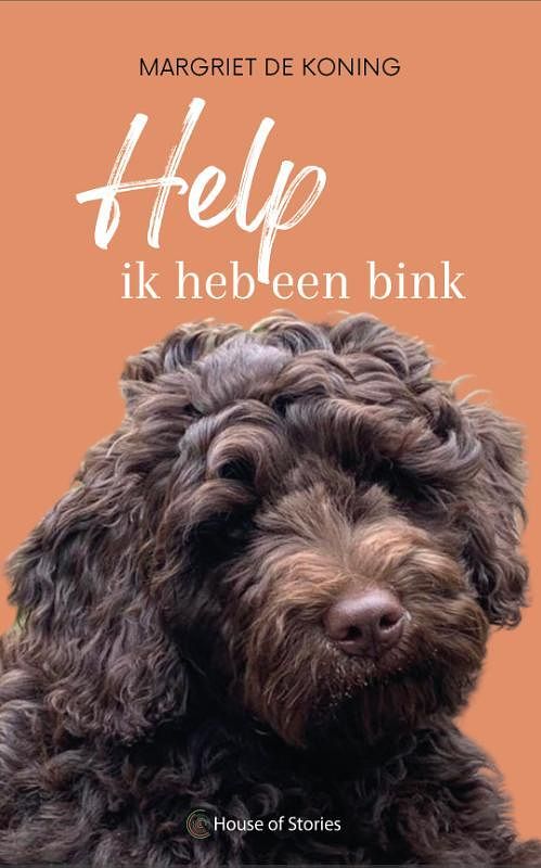 Foto van Help ik heb een bink - margriet de koning - paperback (9789083288659)