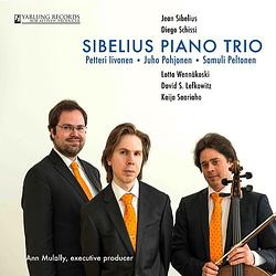 Foto van Sibelius piano trio - cd (0190394526382)