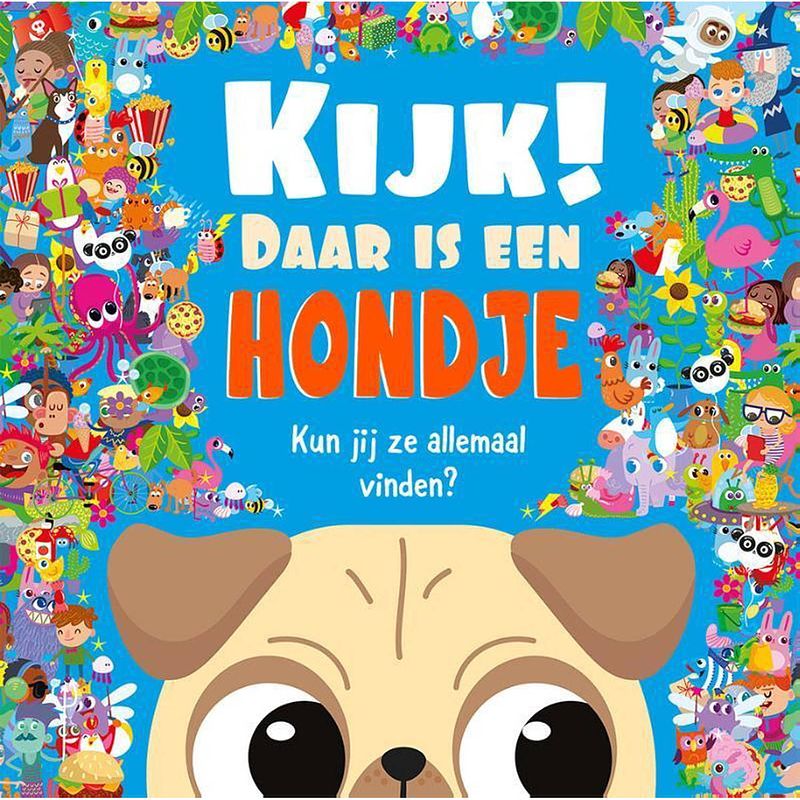 Foto van Rebo productions kinderboek kijk daar is een hondje zoek & vind