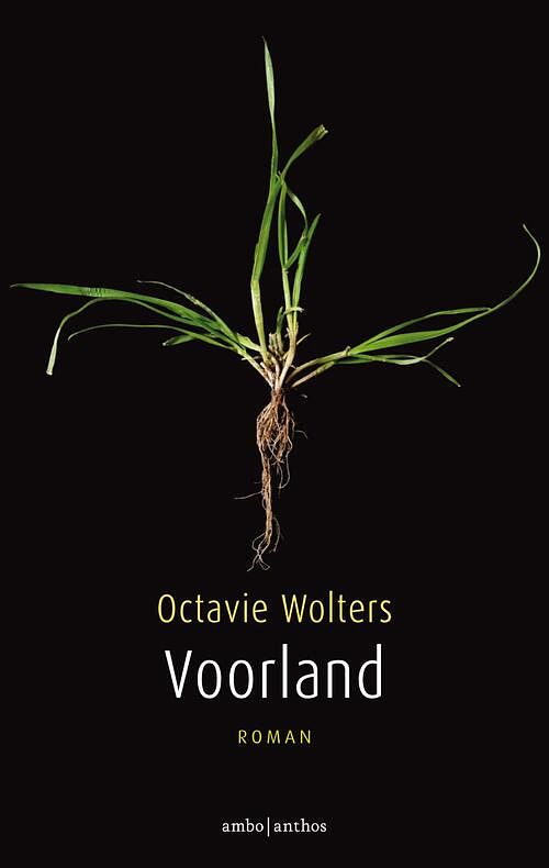 Foto van Voorland - octavie wolters - ebook (9789026335495)