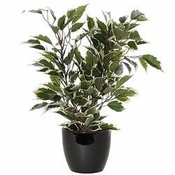 Foto van Groen/witte ficus kunstplant 40 cm met plantenpot zwart d13.5 en h12.5 cm - kunstplanten