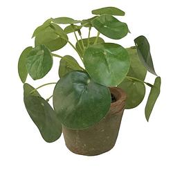 Foto van Kantoor kunstplant pilea groen in pot 13 cm - kunstplanten