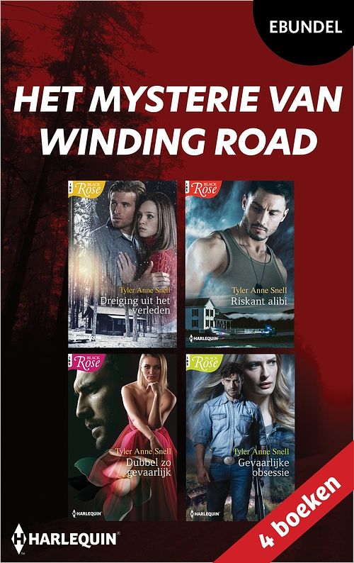 Foto van Het mysterie van winding road - tyler anne snell - ebook