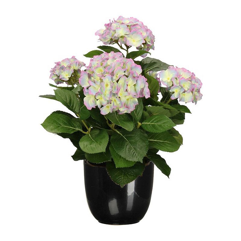 Foto van Hortensia kunstplant/kunstbloemen 45 cm - paars/groen - in pot zwart glans - kunstplanten