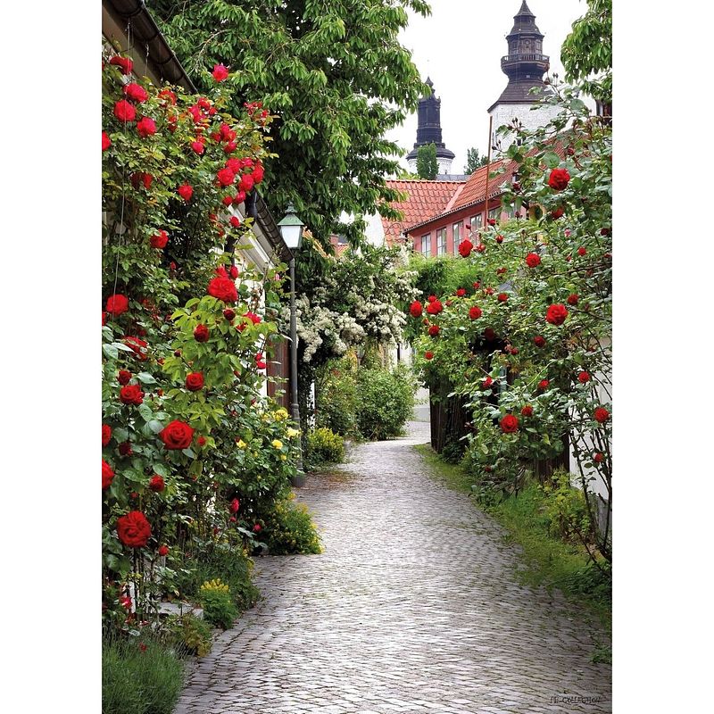 Foto van Tuinschilderij alley roses 70x130cm