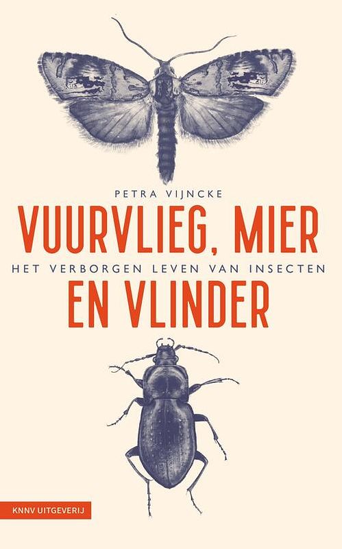 Foto van Vuurvlieg, mier en vlinder - petra vijncke - ebook (9789050119054)
