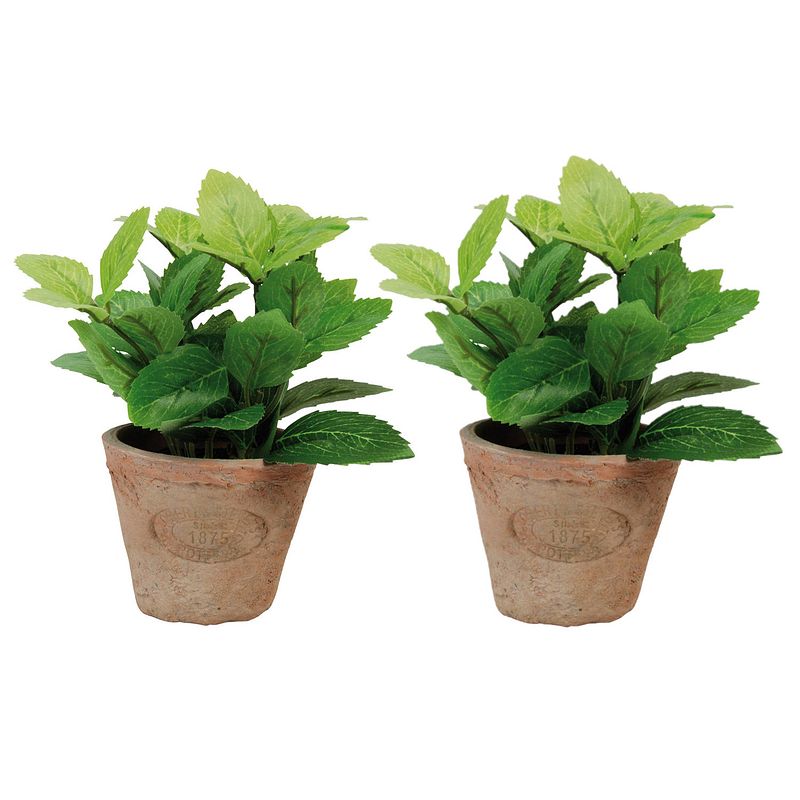 Foto van 2x stuks kunstplanten muntkruiden in terracotta pot 16 cm - kunstplanten