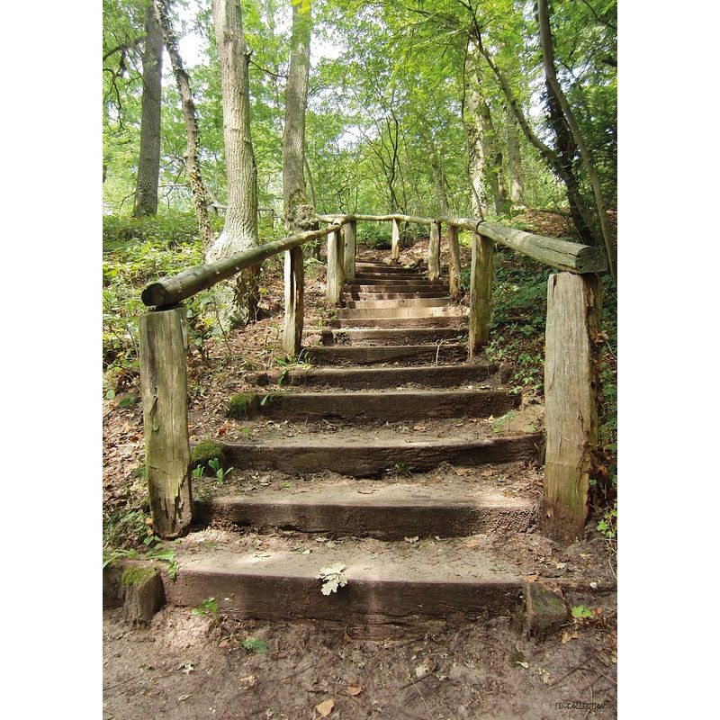 Foto van 2 stuks tuinschilderij forest stairs 50x70cm