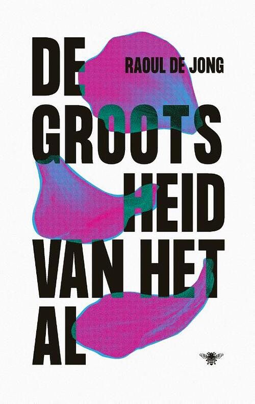 Foto van De grootsheid van het al - raoul de jong - paperback (9789403119922)