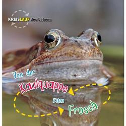 Foto van Von der kaulquappe zum frosch - kreislauf des