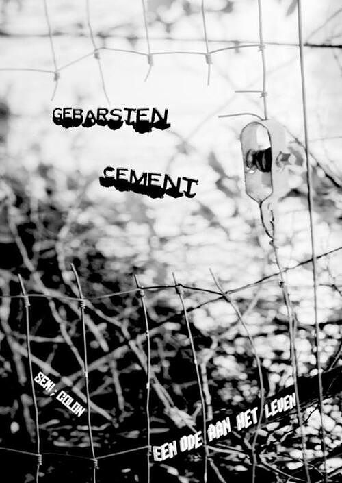 Foto van Gebarsten cement - colon, semi - paperback (9789464859621)