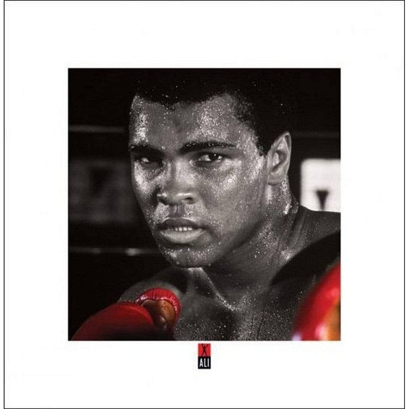 Foto van Pyramid muhammad ali boxing gloves kunstdruk 40x40cm