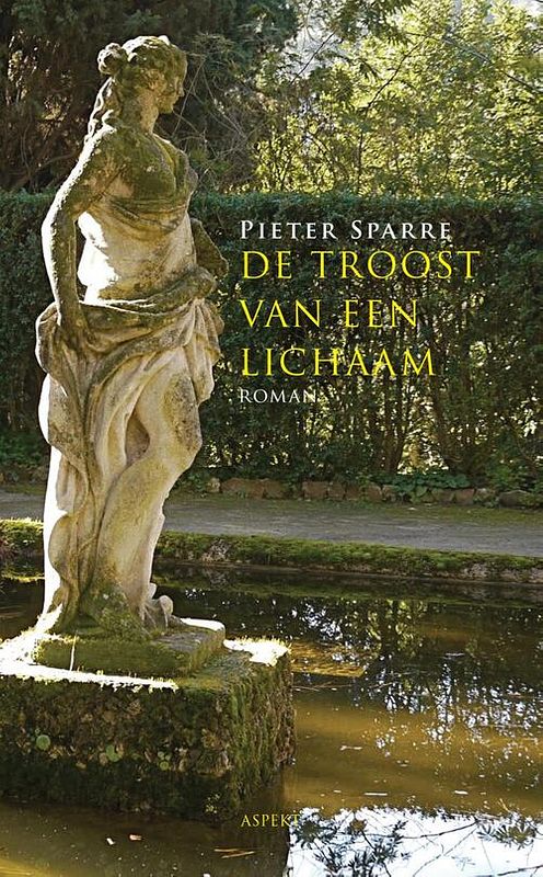 Foto van De troost van een lichaam - pieter sparre - ebook (9789463386746)