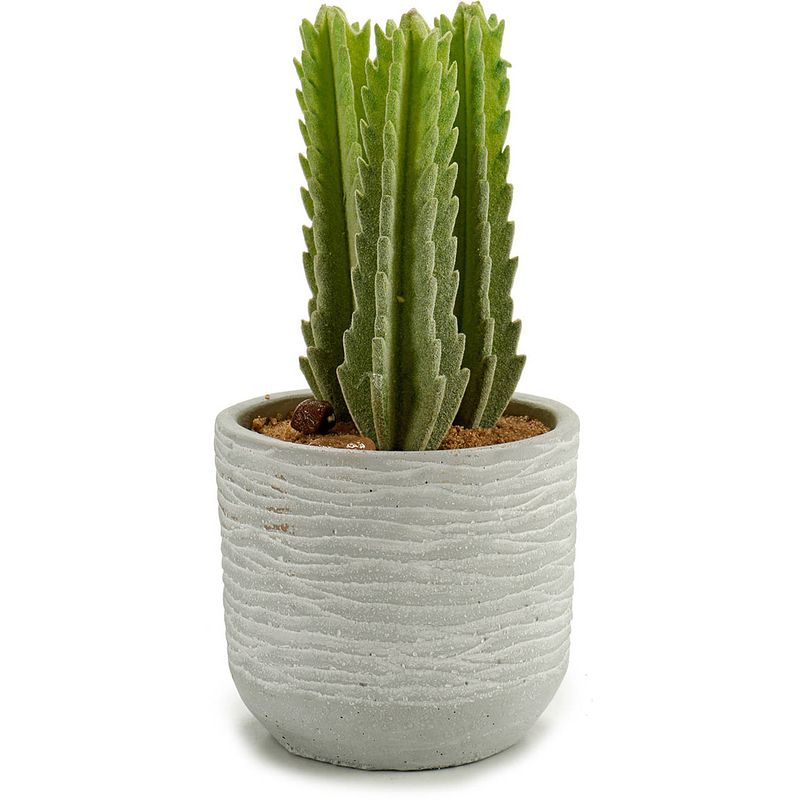Foto van Ibergarden kunstplant cactus 10 x 20 cm keramiek groen/grijs