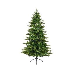 Foto van Everlands - galloway spruce d150h240cm groen