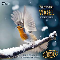 Foto van Garden birds kalender 2023