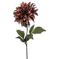 Foto van Kunstbloem dahlia - bruin - 65 cm - leen bakker