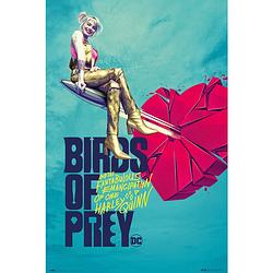 Foto van Grupo erik birds of prey broken heart poster 61x91,5cm