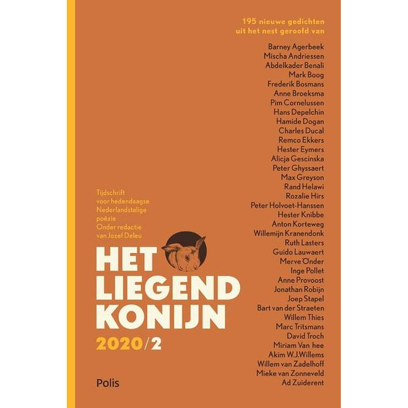 Foto van Het liegend konijn