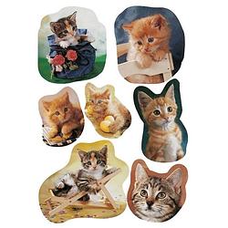 Foto van 21x katten/poezen dieren stickers - kinderstickers - stickervellen - knutselspullen