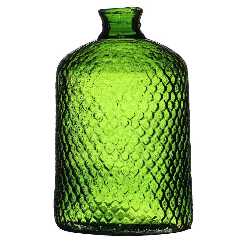 Foto van Natural living bloemenvaas scubs bottle - groen geschubt transparant - glas - d18 x h31 cm - vazen